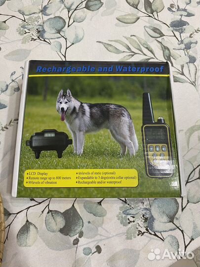 Ошейник электронный