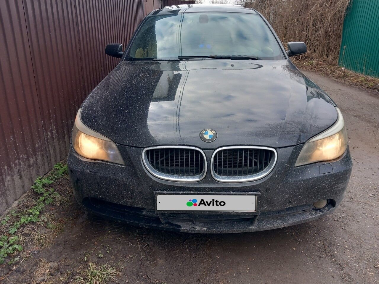 BMW 5 серия: фото владельца