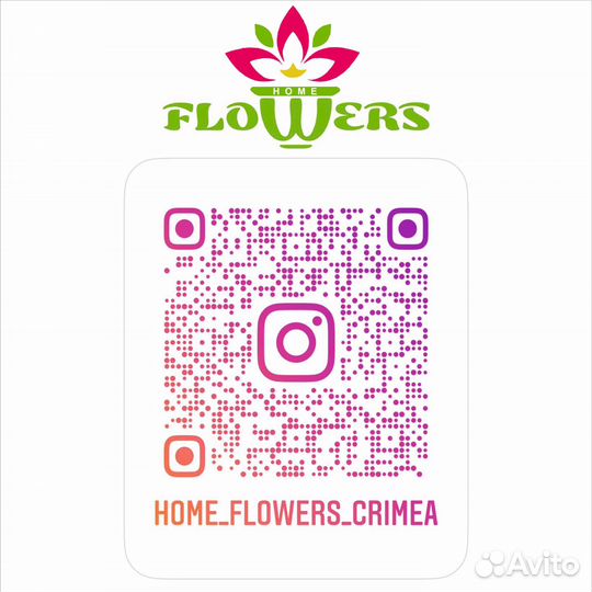 Орхидея мини