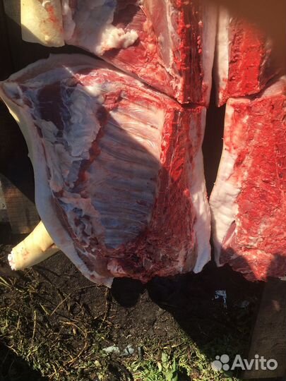 Мясо свинина