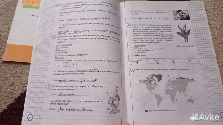 Впр биология 5 класс