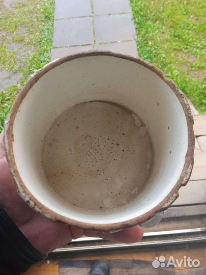 Сахарница кузнецов редкая