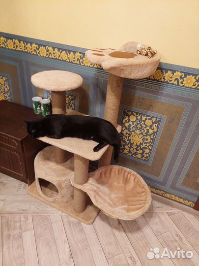 Домик для кошки с когтеточкой