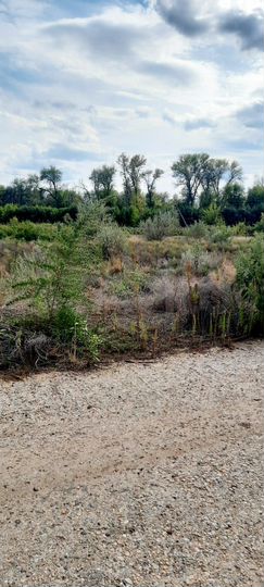 Участок 94,3 сот. (СНТ, ДНП)