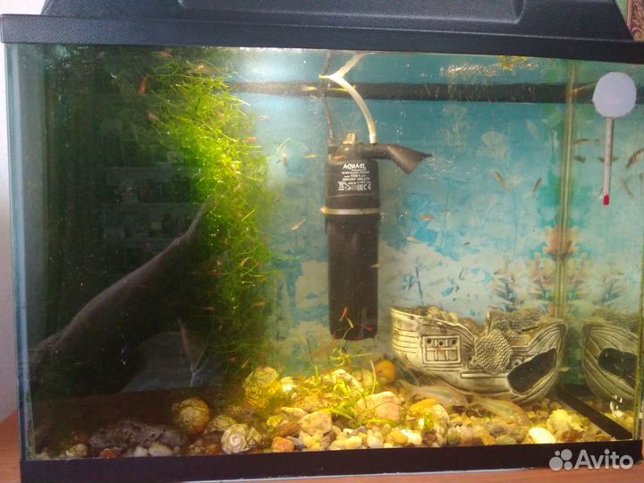 Аквариум