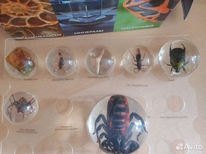 Чудеса природы коллекция
