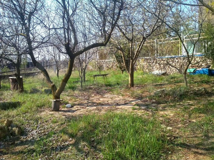 Участок 4,5 сот. (СНТ, ДНП)