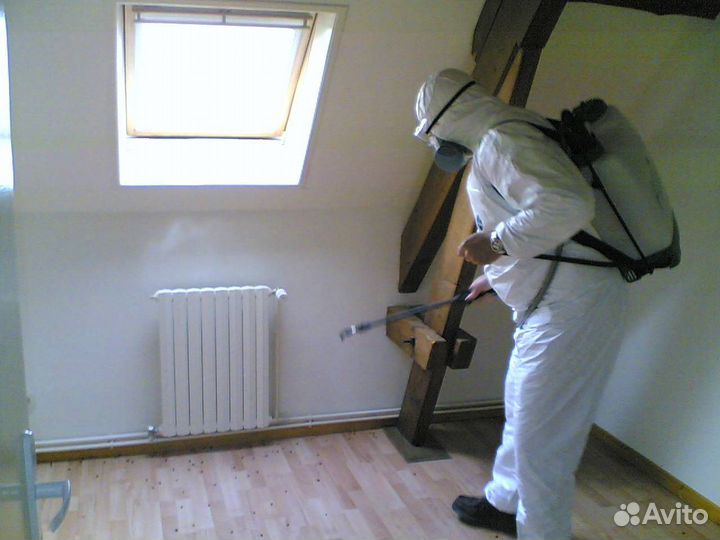 Уничтожение тараканов клопов плесени Дезинфекция