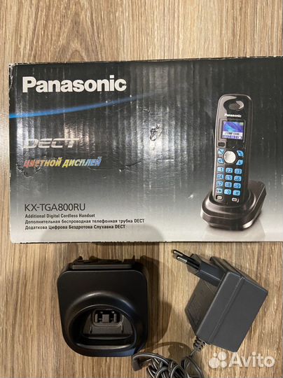 Panasonic