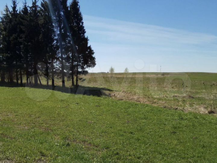 Участок 5,2 га (ИЖС)