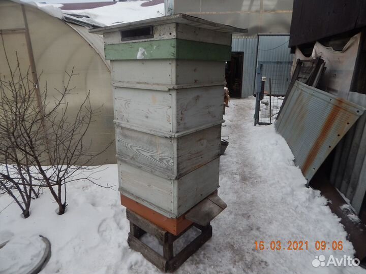 Продам многокорпусные ульи