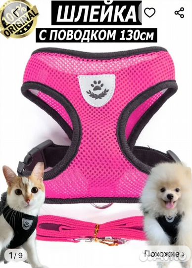 Шлейка с поводком забронировано