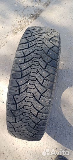 Cordiant Polar 185/65 R15