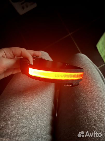 Ошейник для собаки светодиодный