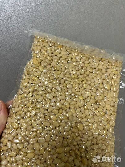 Ядро кедрового ореха оптом