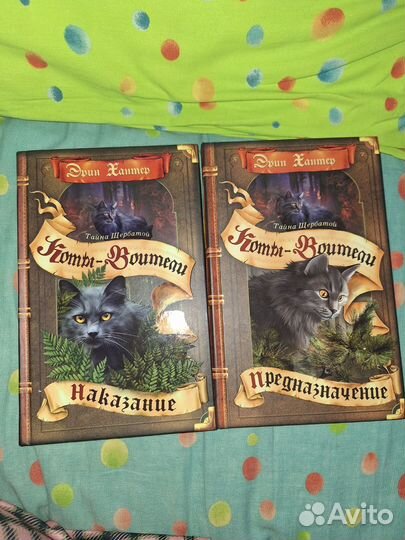 Тайна Щербатой бронь