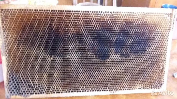 Продам сушь. Рамка рута. Темная