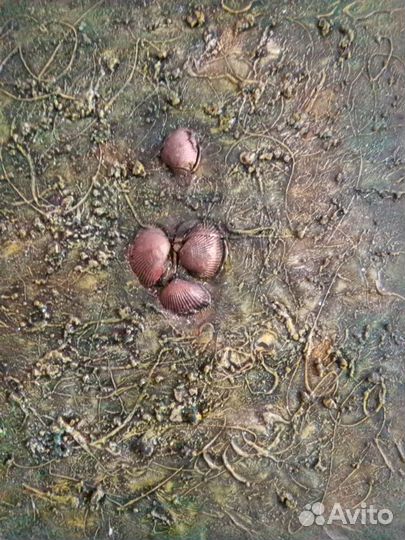 Картина Ракушки