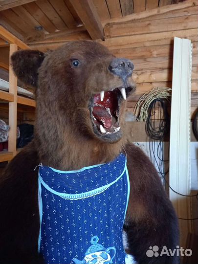 Чучело медведя (имитация)