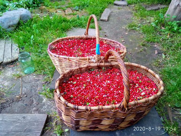 Участок 9 сот. (ИЖС)