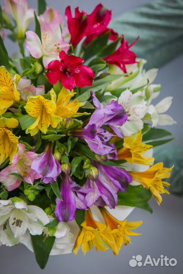 Букет из 9 альстромерий в шляпной коробке, цветы д