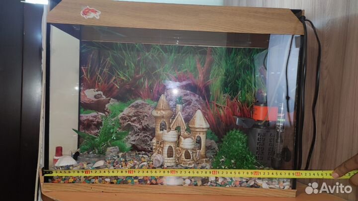 Аквариум