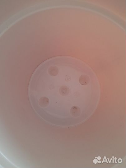 Горшок для растений