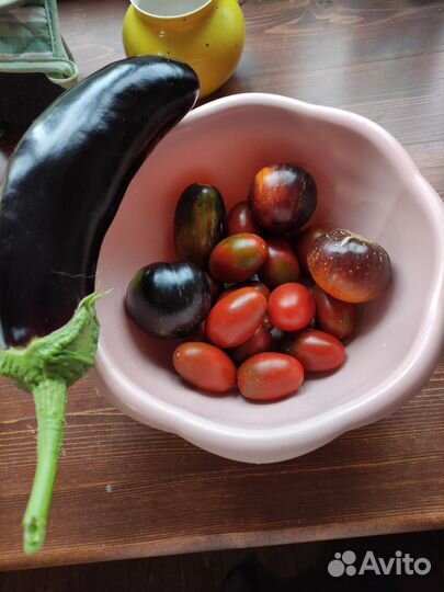 Свои семена. Томаты, перец, декоративные злаки