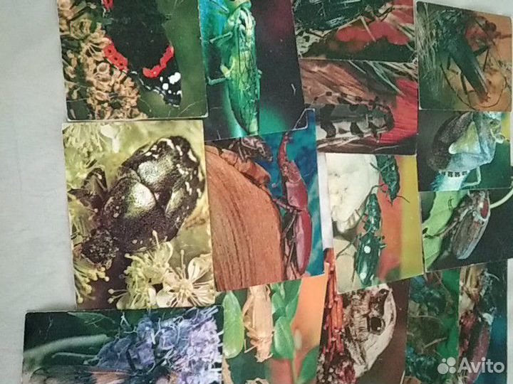 Открытки СССР