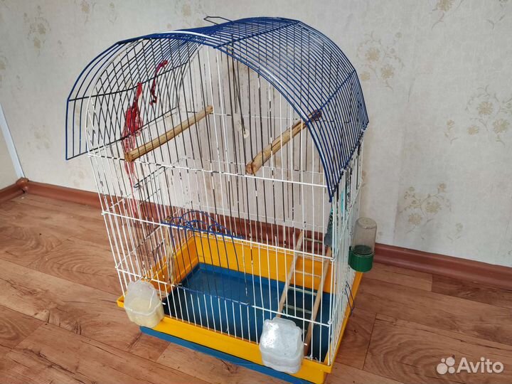 Попугай с клеткой