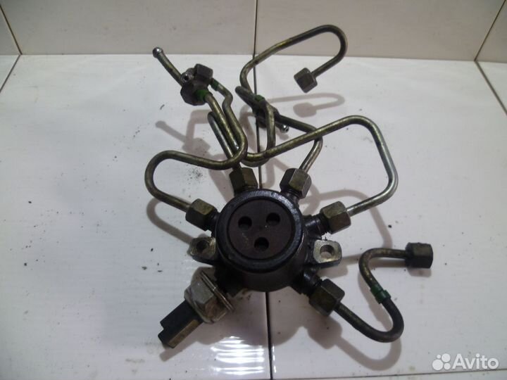 Рейка топливная (рампа) для Renault Kangoo