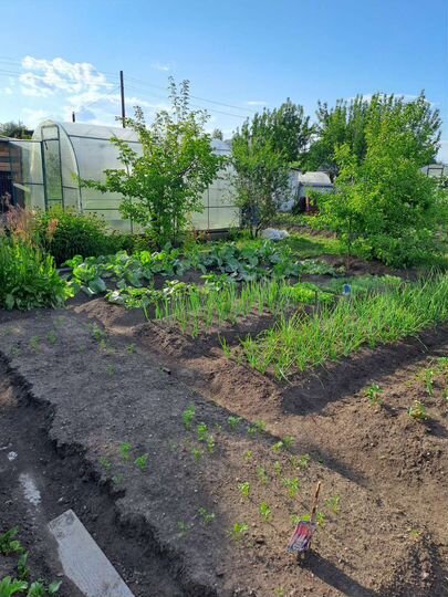 Участок 6 сот. (СНТ, ДНП)