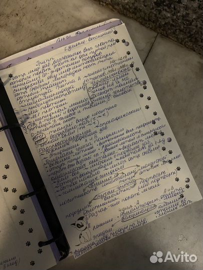 Написание конспектов