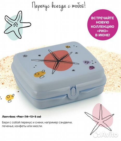 Бутылка, ланч-бокс