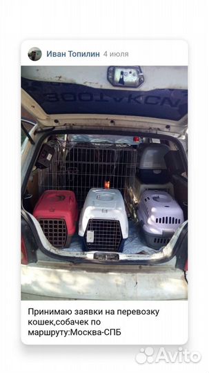 Зоо такси,перевозка животных