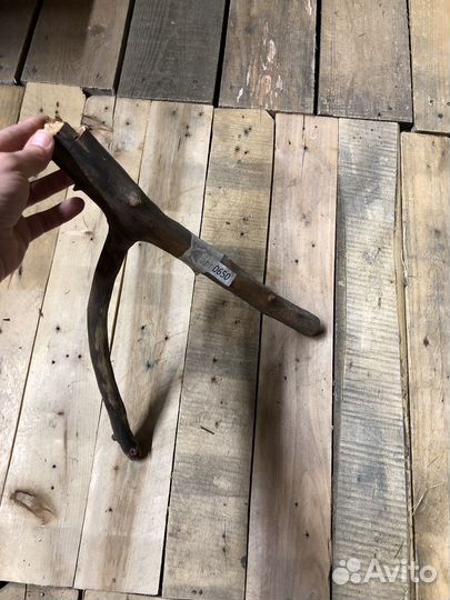 Коряги для террариума среднего размера