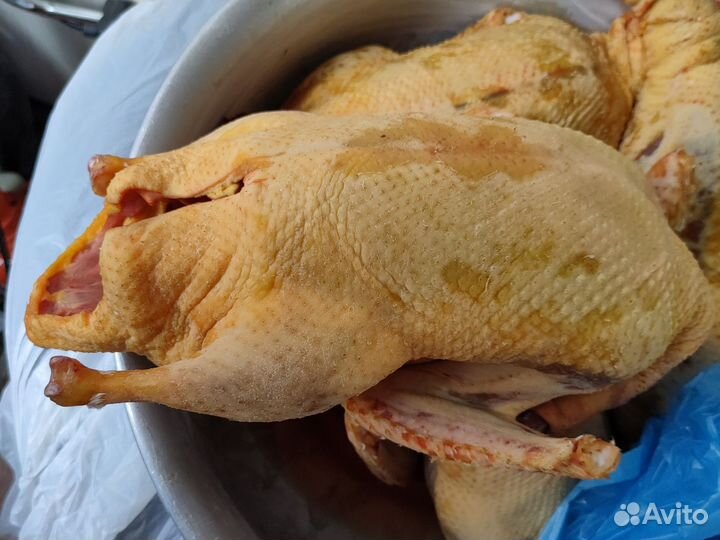 Мясо утки