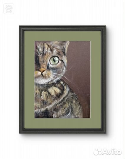 Картина Полосатый кот с зелёными глазами