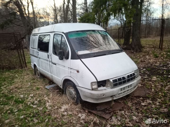 Газель соболь