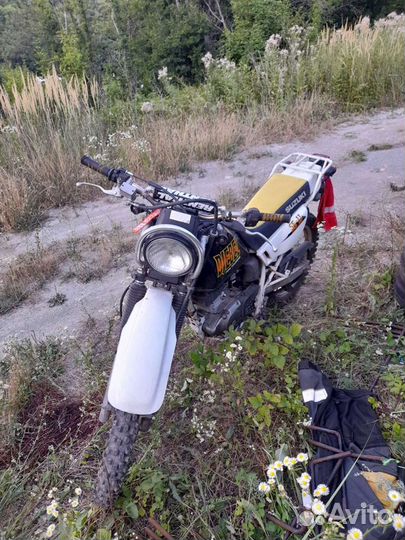 Suzuki djebel