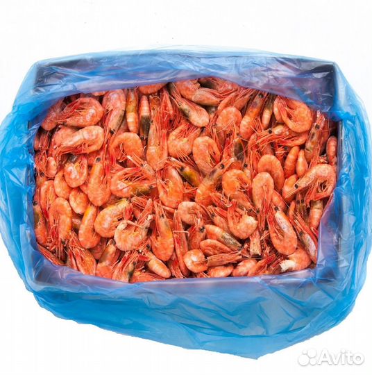 Креветка Магаданская оптом