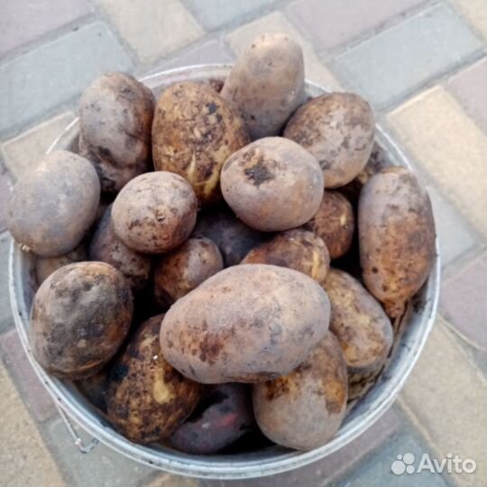 Продукты питания