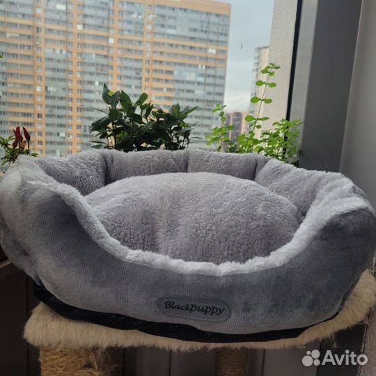 Лежанка для собак
