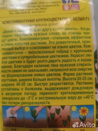 Петуния