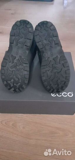Сапоги ecco