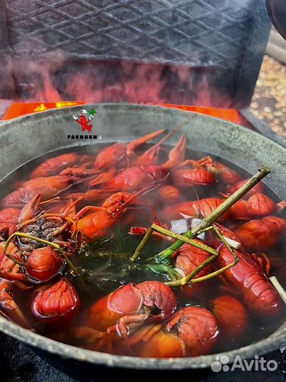 Весенние раки тепло праздника