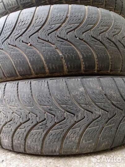 Premiorri ViaMaggiore 195/65 R15