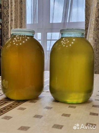 Мёд майский 2023 года