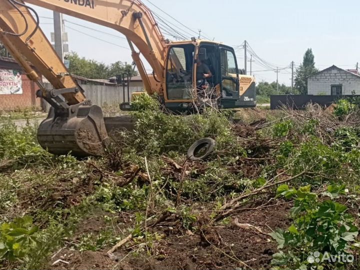 Расчистка участка,спил деревьев,вывоз мусора