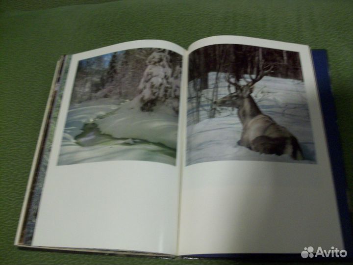 Роскошный фотоальбом 